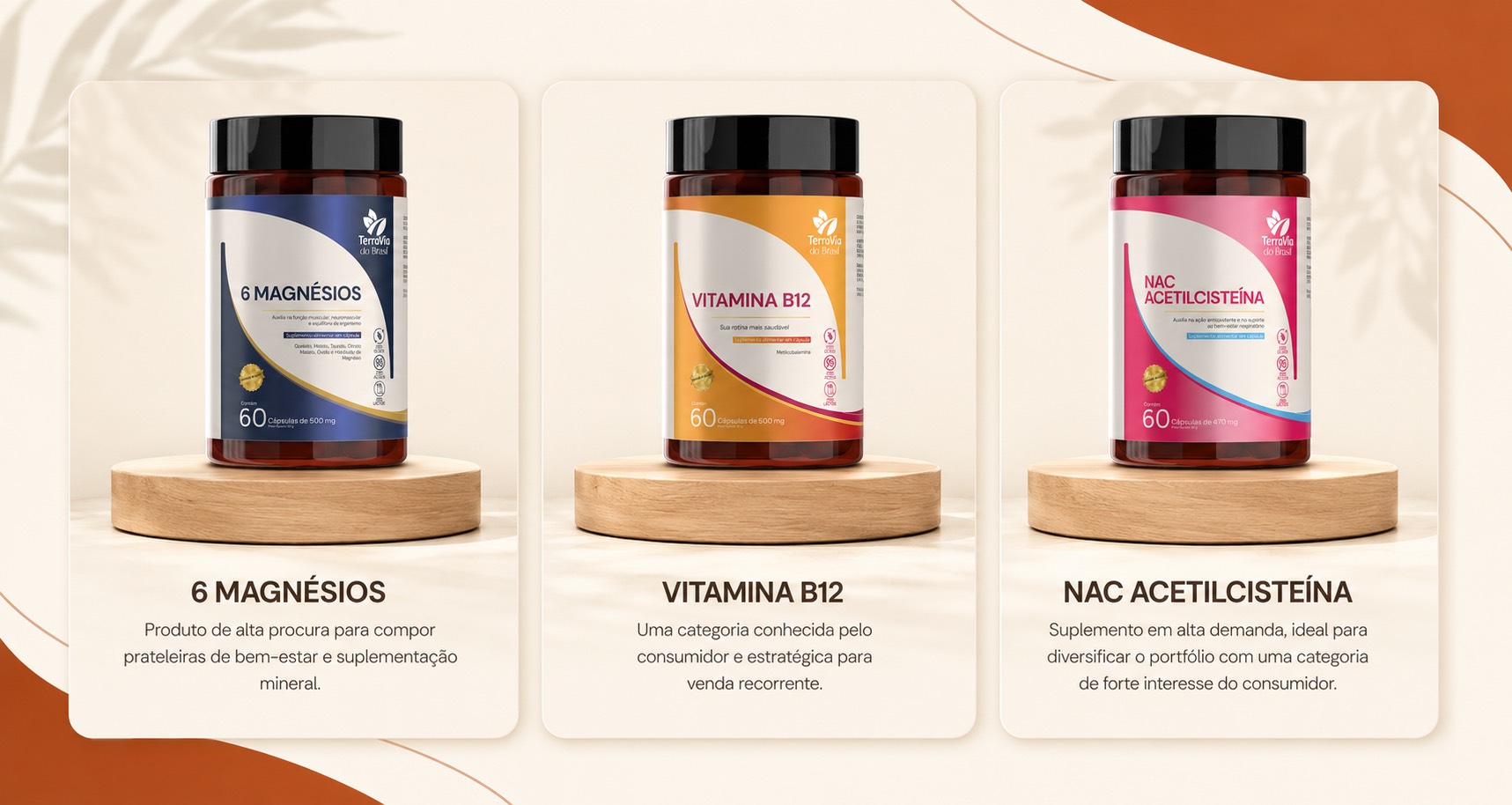 Cards dos produtos TerraVia: 6 Magnésios, Vitamina B12 e NAC Acetilcisteína