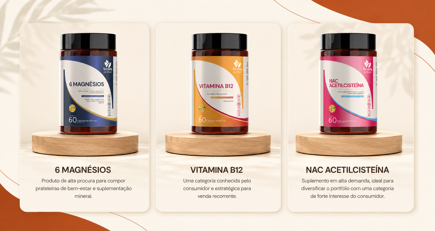 Cards dos produtos TerraVia: 6 Magnésios, Vitamina B12 e NAC Acetilcisteína